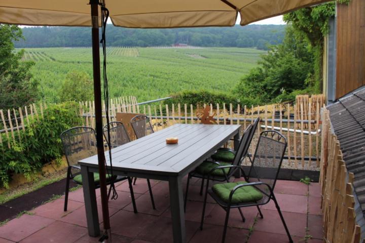 Foersters Weinterrassen Apartamento Bad Neuenahr-Ahrweiler Exterior foto