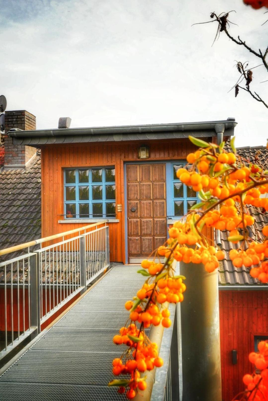Foersters Weinterrassen Apartamento Bad Neuenahr-Ahrweiler Exterior foto